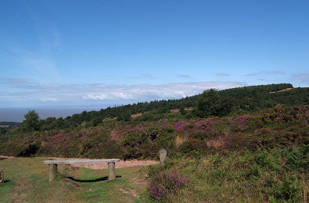 The Quantocks and a bench