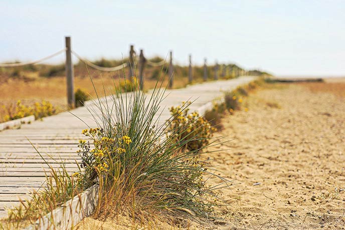 A wooden path leading across the sands at Great Yarmouth in Norfolk