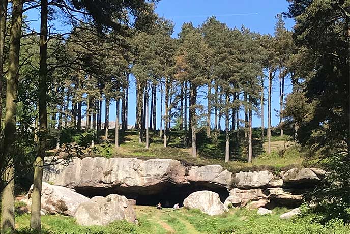 Rocks forming Cuthbert's Cave with towering trees on the ridge above