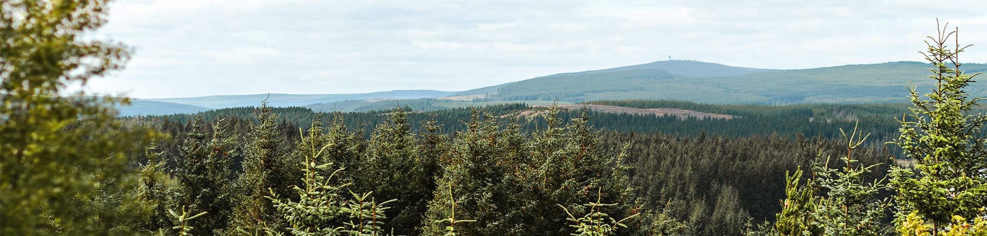 Best walks in Northumberland