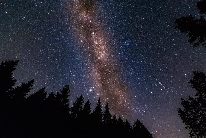 Kielder Forest starry skies