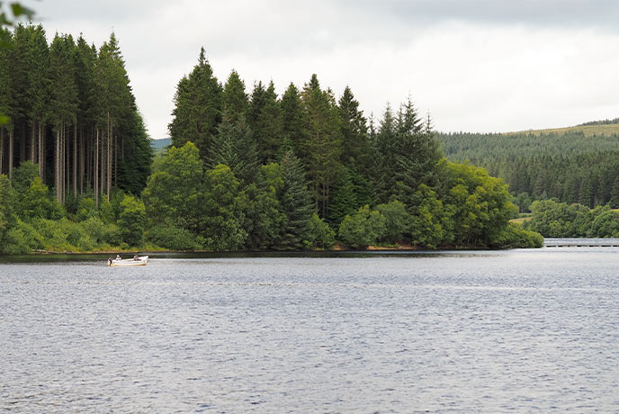A boat drifting past towering trees at Kielder Water and Forest Park in Northumberland