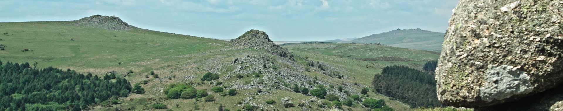 Dartmoor Cottages