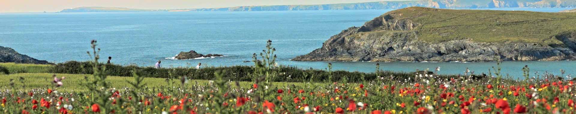 Cottages in North Cornwall