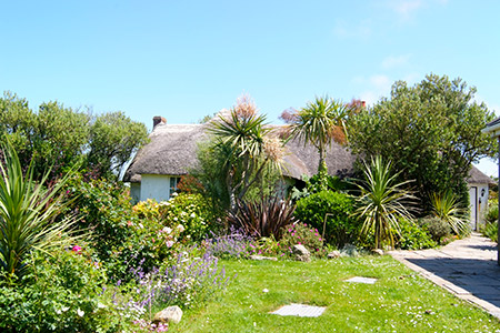 Thatched family cottages by the sea in Sennen Thatched family cottages by the sea in Sennen