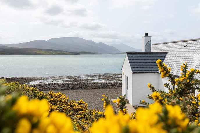 Looking past some bright yellow gorse at a pretty holiday cottage with amazing sea views in the Scottish Highlands