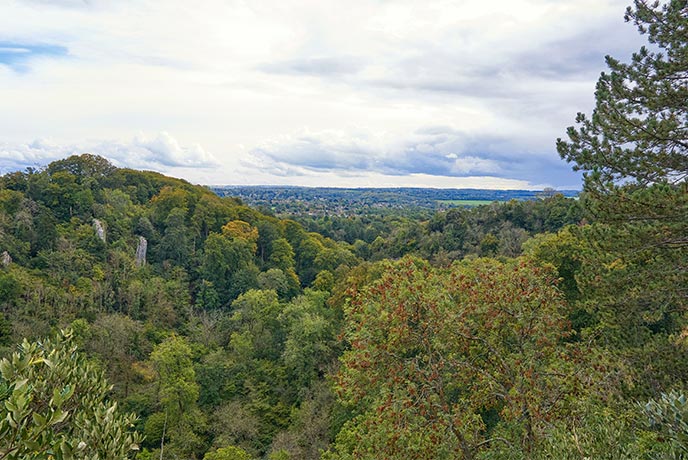 Looking over the treetops of Blaise Castle Estate in Somerset