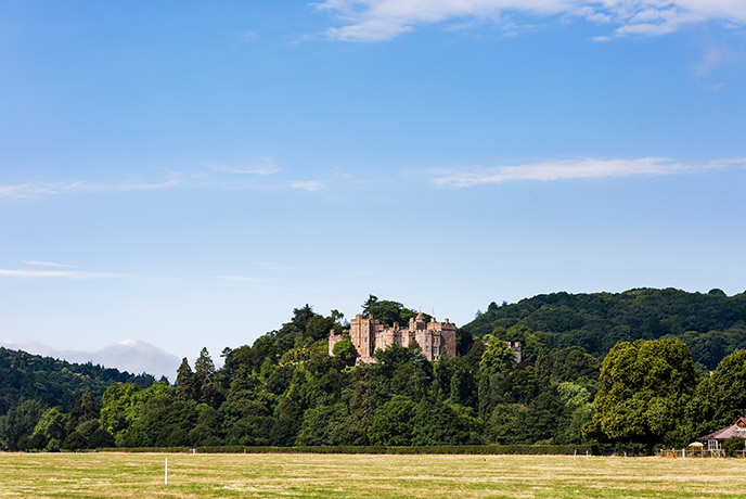Looking up at Dunster Castle across fields and woods