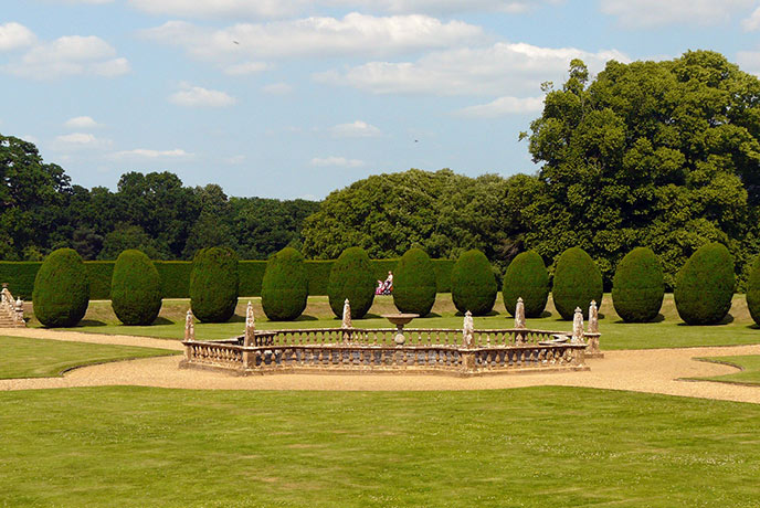 Looking across the clean cut lawn at the beautifully sculptured topiary bushes at Montacute House