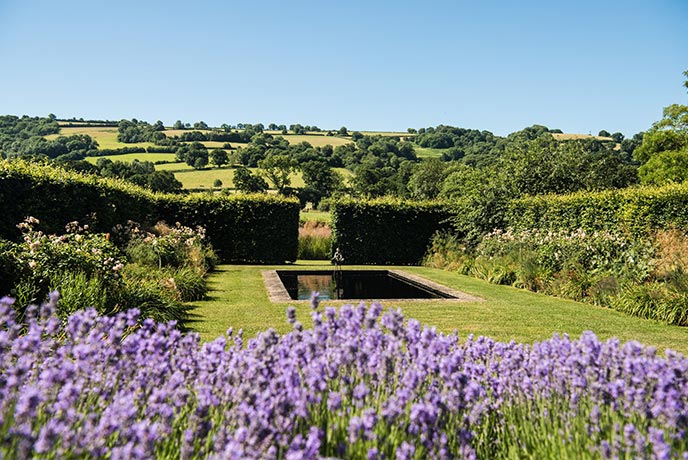 Looking over a sea of purple towards the carefully cut lawn and hedges at Yeo Valley, one of the best gardens in Somerset