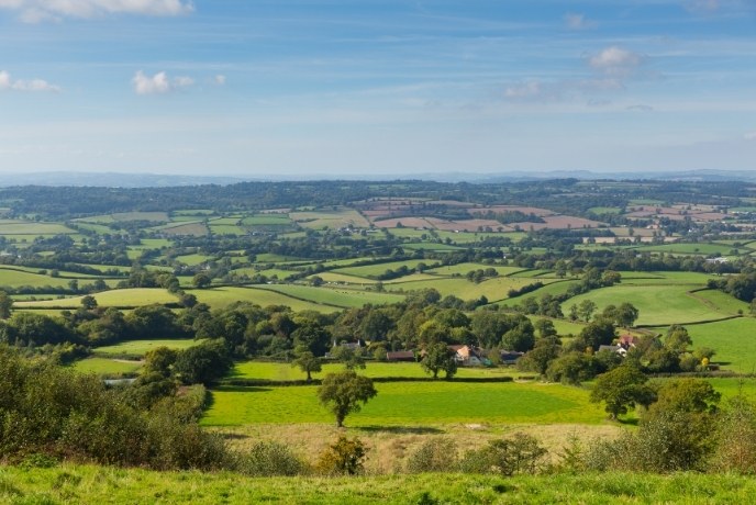 Reaching views over the stunning patchwork of fields across the Blackdown Hills where you'll find some of the best walks in Somerset