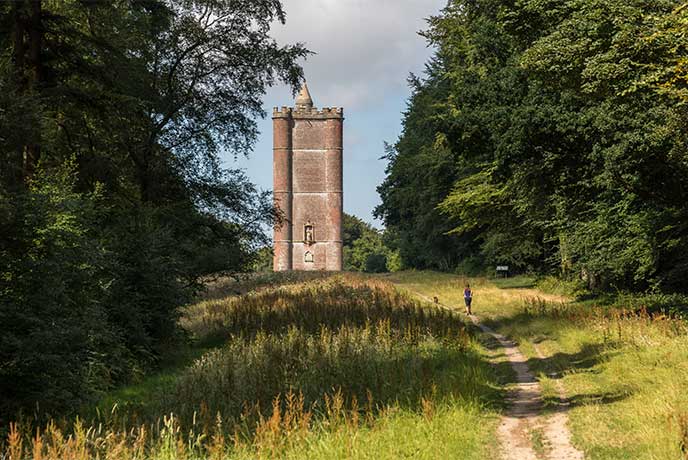 A woman and a dog running up a woodland path towards King Alfred's Tower near Bruton in Somerset