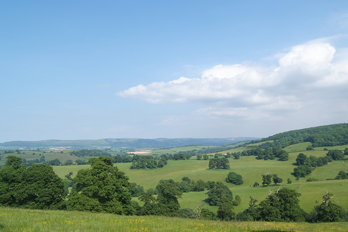 Luscious fields and trees decorate the Quantock Hills in Somerset