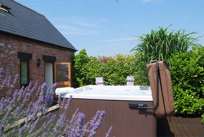 Lavender growing beside the hot tub at Bumble Bee Barn in Somerset