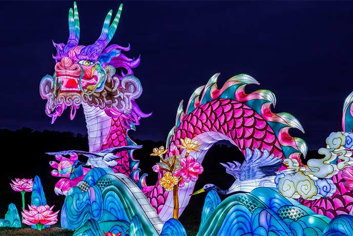 An incredible Chinese dragon lantern at Longleat at Christmas