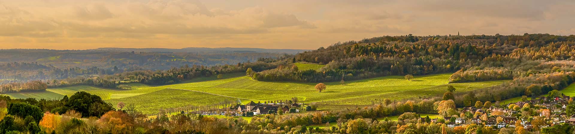 Cottages in the Surrey Hills