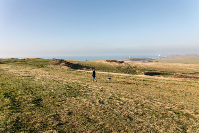 Someone walking with their dog along the cliffs above Beachy Head in East Sussex