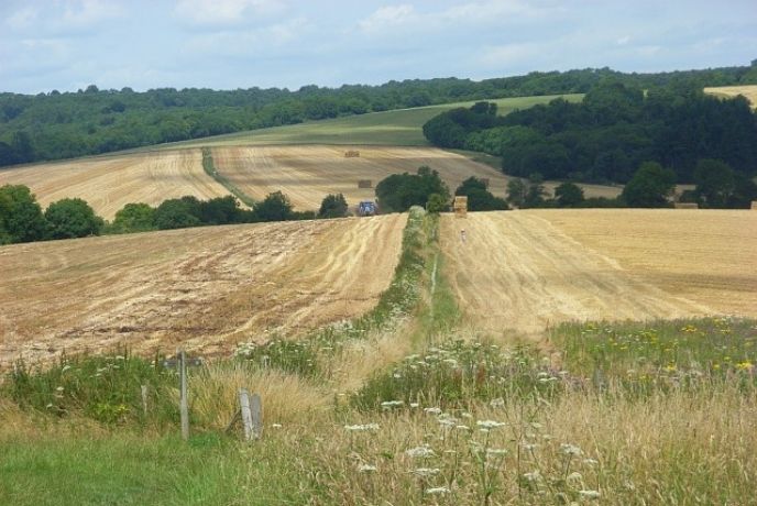 Looking out over ploughed fields surrounding Slindon in West Sussex
