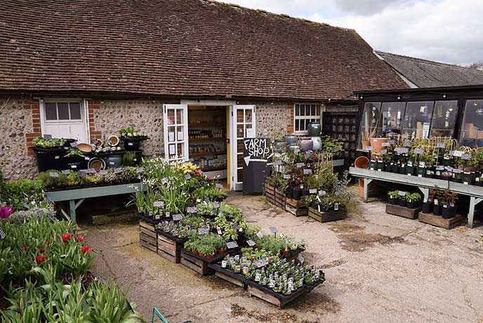 The pretty cottage exterior of Middle Farm Shop in Sussex, with plants for sale outside