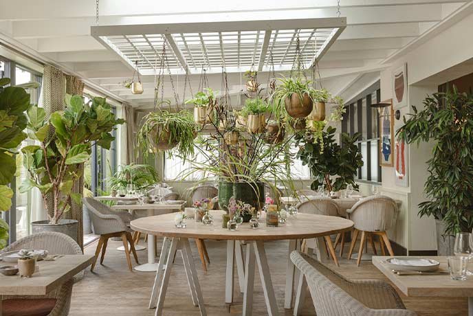 A beautiful dining room full of plants and tables at Sussex restaurant The Gallivant