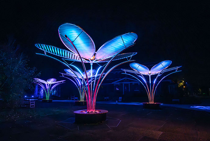 	Light trail and festive installations at Christmas at Kew in Sussex