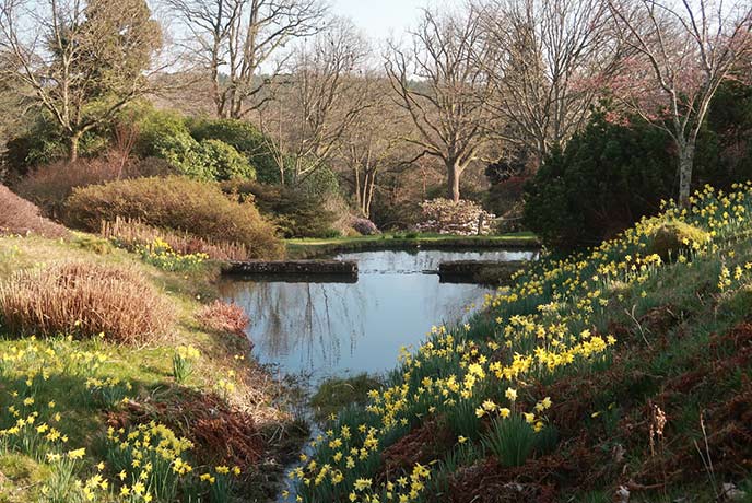 One of the many peaceful ponds at High Beeches Garden