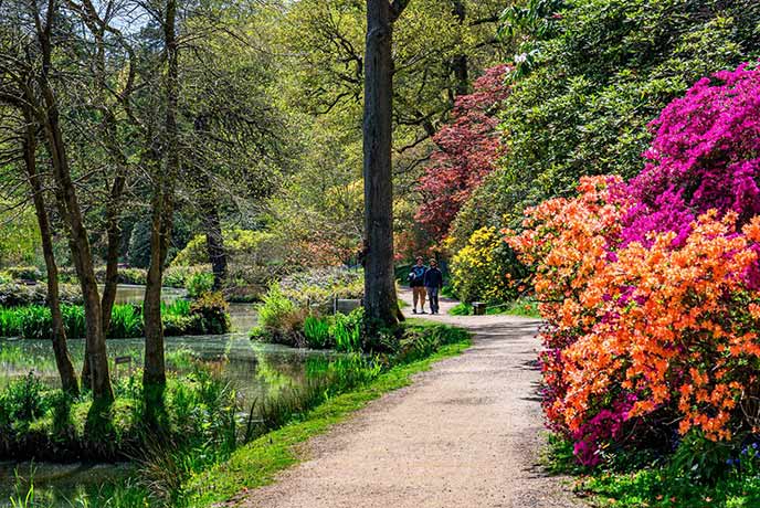 Colourful trees line the paths through Leonardslee Gardens