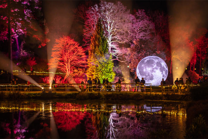 Trees lit up with colour and a moon projection at Leonardslee Illuminated