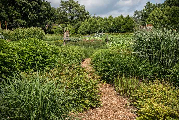 A path winds between the green displays of Sussex Prairies Garden