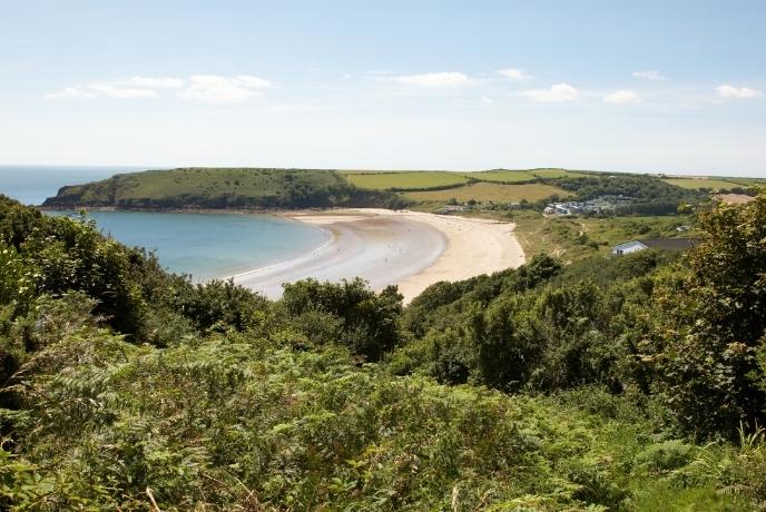 Looking out over the trees at Freshwater West beach with its golden sands and blue waters