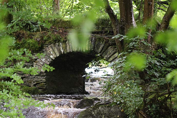 A stone bridge over a mini waterfall in the Hafod Estate in Wales
