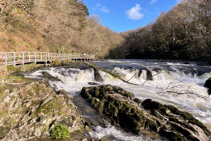 A wide waterfall flowing past a wooden walkway at Cenarth Falls in Wales