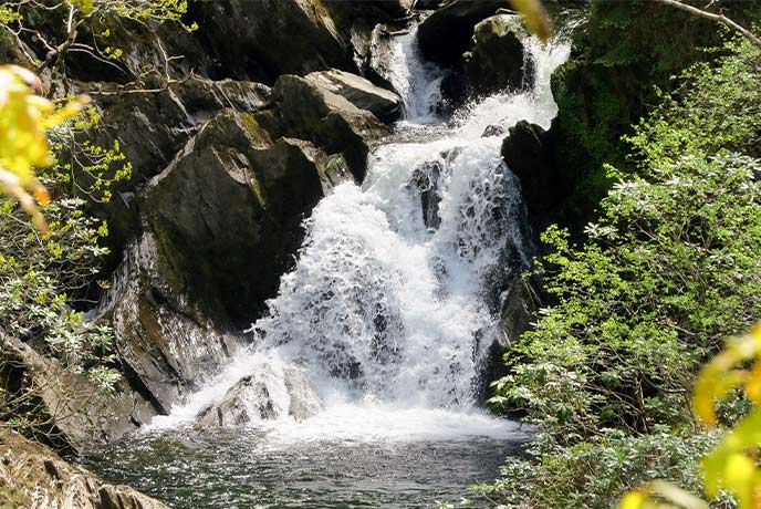 A waterfall tumbling over rocks at Devil's Bridge Falls in Wales