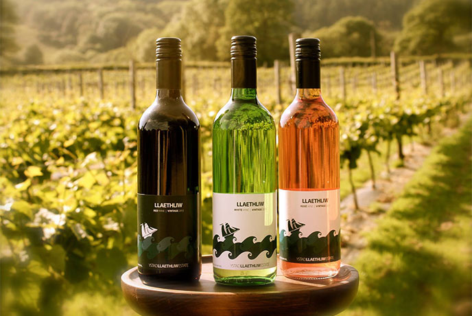 Three bottles of wine with vines in the background at Llaethliw Vineyard in Wales