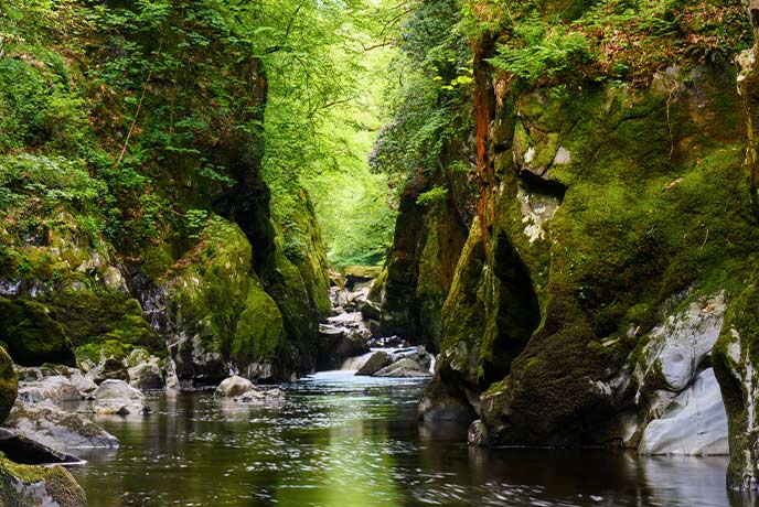 Rich green woodland surrounds a rocky Fairy Glen in Wales
