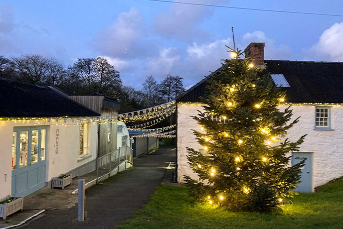 Melin Tregwynt covered in Christmas lights with a Christmas tree out front