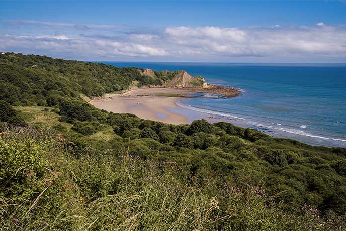 An arch of golden sand with cliffs in the background at Cayton Bay in Yorkshire