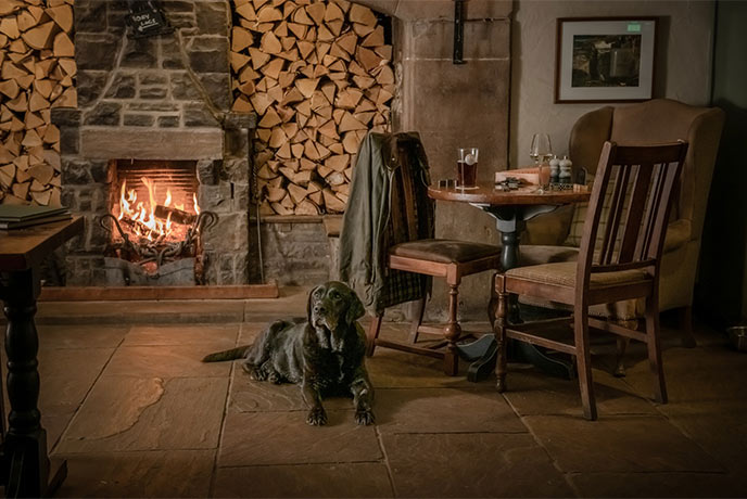 A dog lying in front of a wood-burner that is surrounded by cut logs