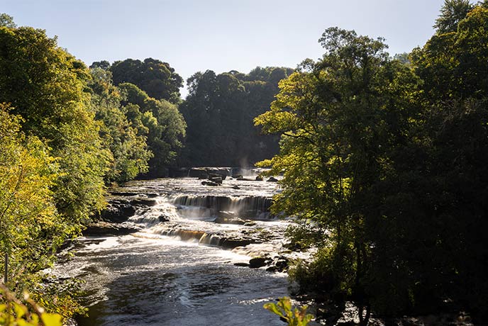 The famous tree-lined falls at Aysgarth in Yorkshire