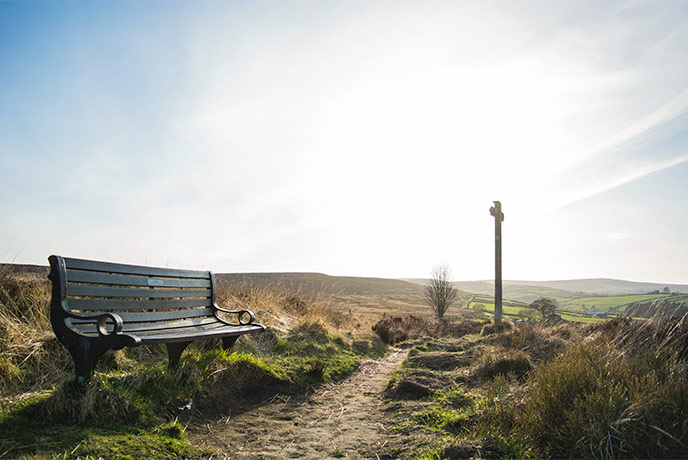 A bench on Haworth Moor, surrounded by beautiful moorland