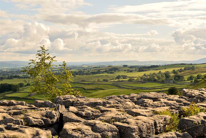 The iconic rock formations and rural backdrop at Malham Cove in Yorkshire