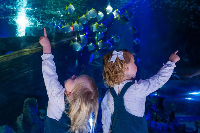 Two children pointing at the fish in the aquarium at Sea Life Scarborough
