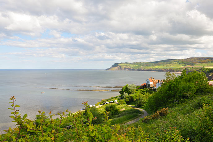 Looking out over the trees towards the sea at Robin Hood's Bay in Yorkshire